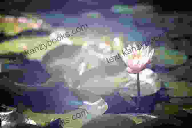 A Lotus Flower Blooming In A Murky Pond, Symbolizing Transformation Beyond Science VII Cosmic Karma