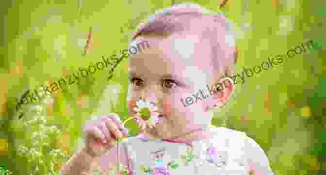 Baby Smelling A Blooming Flower, Exploring The Sense Of Smell Baby Loves The Five Senses: Hearing (Baby Loves Science)