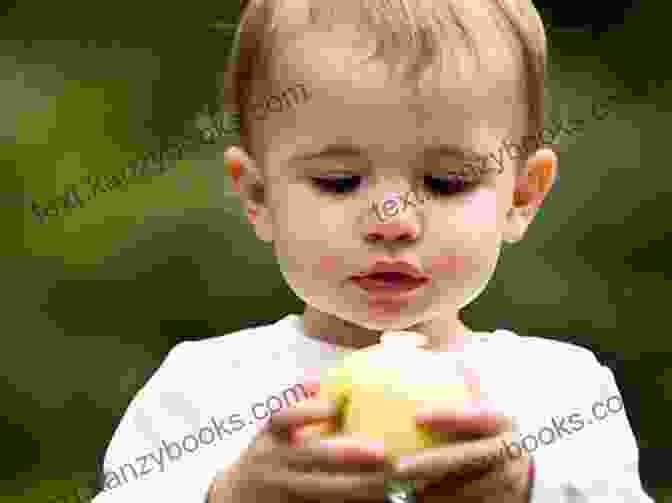 Baby Tasting A Piece Of Fresh Fruit, Exploring The Sense Of Taste Baby Loves The Five Senses: Hearing (Baby Loves Science)