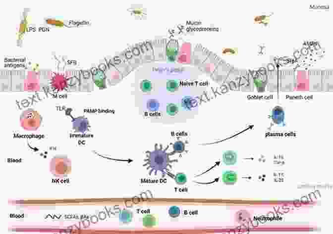 Gut Microbiome And Immune System Anti Inflammatory Diet: Learn How To Eliminate Autoimmune Disease Inflammation(Eliminate Diabetes Prediabetes Insulin Resistance) (Anti Inflammatory Resistence Inflammation Paleo Diabetes)