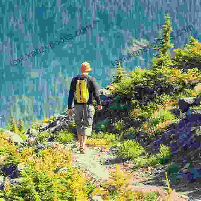 Hikers Spotting Wildlife, Including Birds, Deer, And Other Animals, While Hiking In A Natural Habitat Hiking Massachusetts: A Guide To The State S Greatest Hiking Adventures (State Hiking Guides Series)