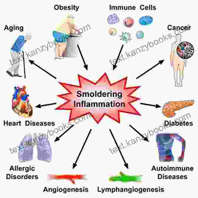 Inflammation In The Body Anti Inflammatory Diet: Learn How To Eliminate Autoimmune Disease Inflammation(Eliminate Diabetes Prediabetes Insulin Resistance) (Anti Inflammatory Resistence Inflammation Paleo Diabetes)