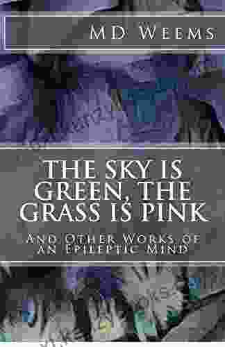 The Sky Is Green The Grass Is Pink: And Other Works Of An Epileptic Mind