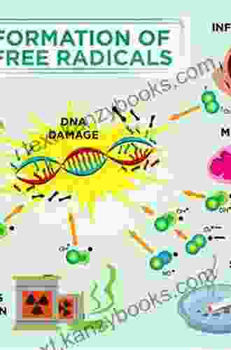 Food And Free Radicals (Innovations In Science Education And)