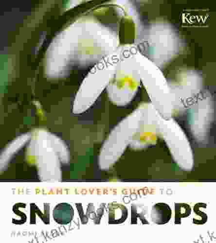 The Plant Lover S Guide To Snowdrops (The Plant Lover S Guides)