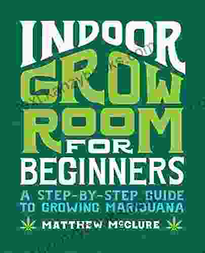 Indoor Grow Room For Beginners: A Step By Step Guide To Growing Marijuana