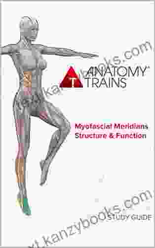 Anatomy Trains Myofascial Meridians Structure Function Study Guide