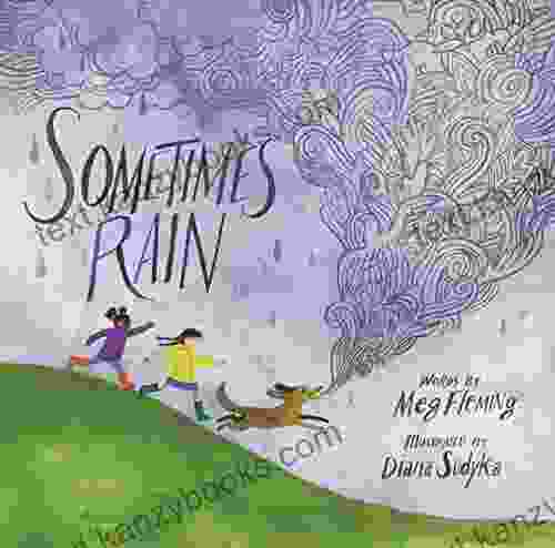 Sometimes Rain Meg Fleming