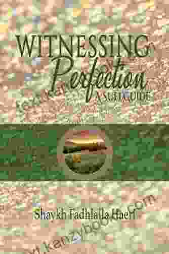 Witnessing Perfection: A Sufi Guide